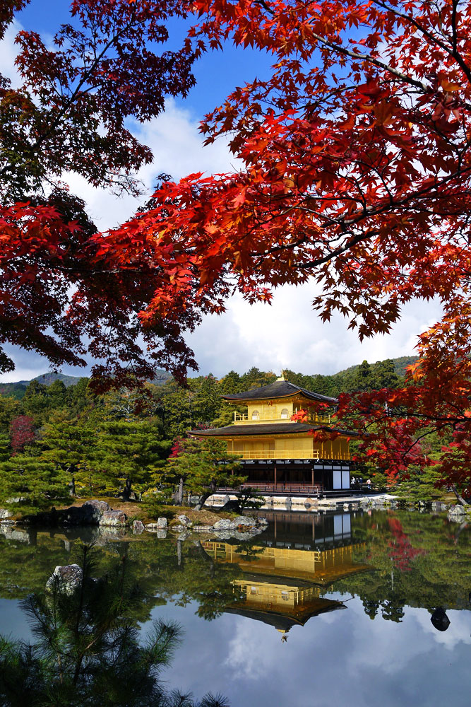 京都の紅葉2022！見頃時期、おすすめスポット一覧、ライトアップ情報