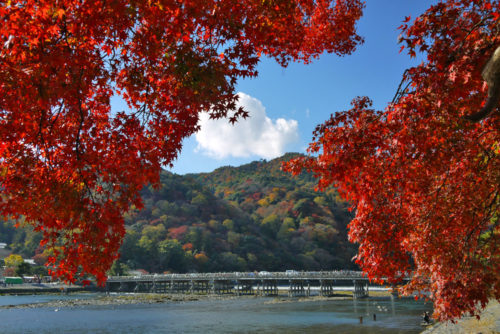 京都嵐山の紅葉2022！おすすめ観光スポット、トロッコ列車情報など